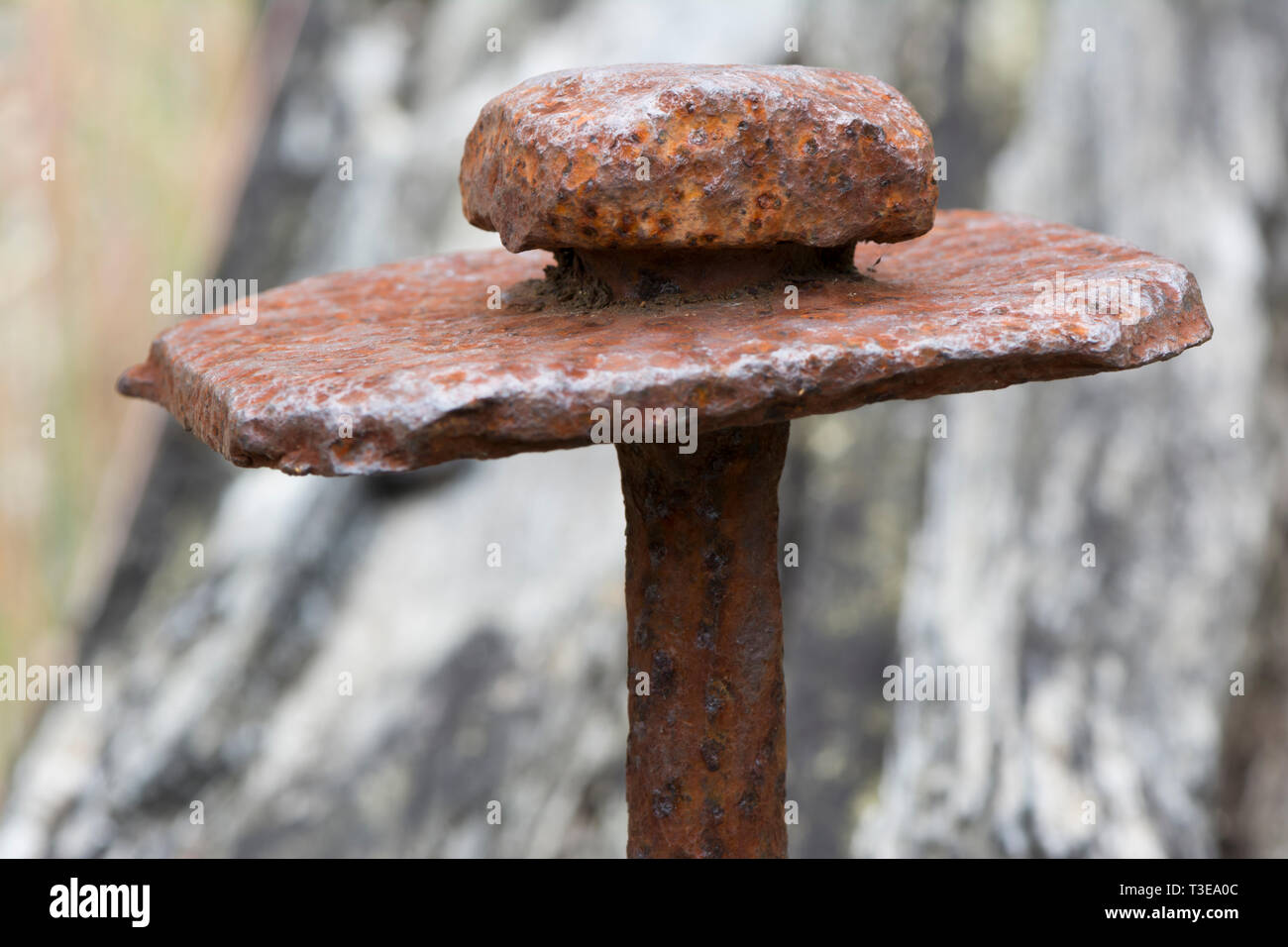 Old rusting metal stake wedged into an old railway sleeper found at an old mine site. Very shallow depth of field used on just the centre leaving the  Stock Photo