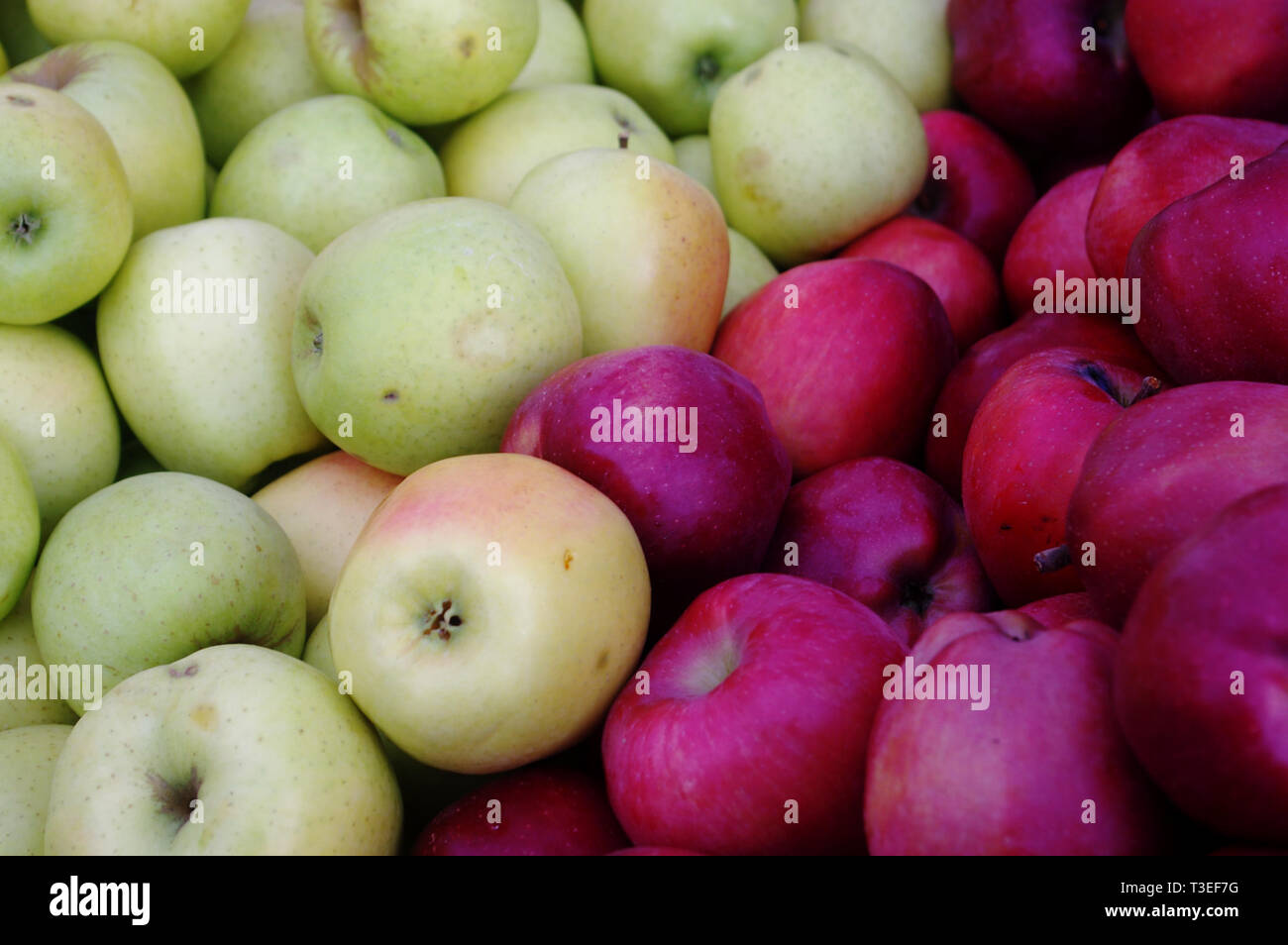 Apples Stock Photo