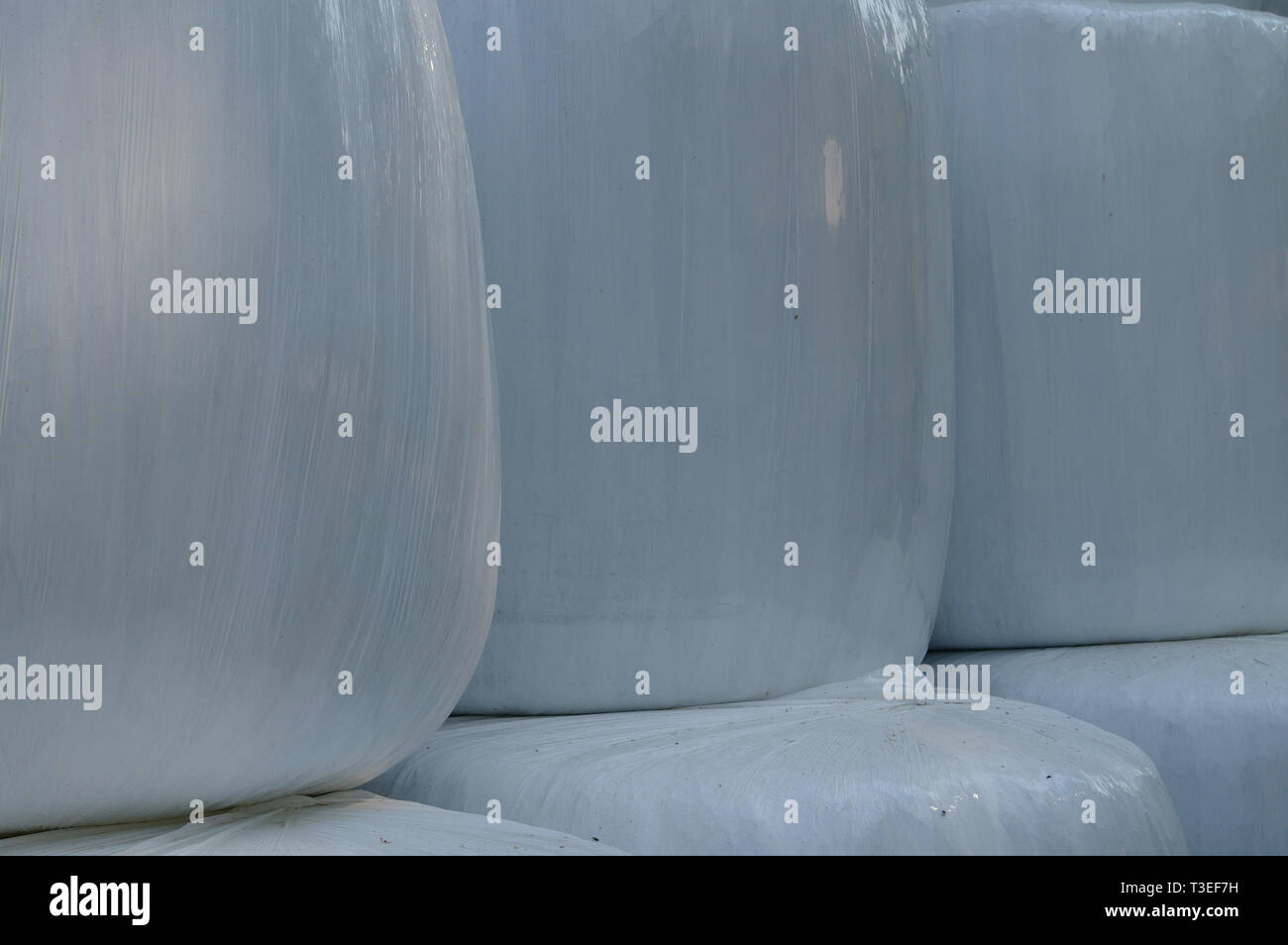 Round Bales in Plastic Stock Photo