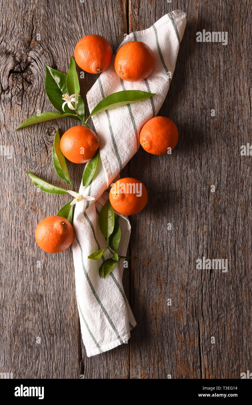 Minneola Tangelos: Closeup of a group of fruit and a towel and leaves on a rustic wood table. Stock Photo