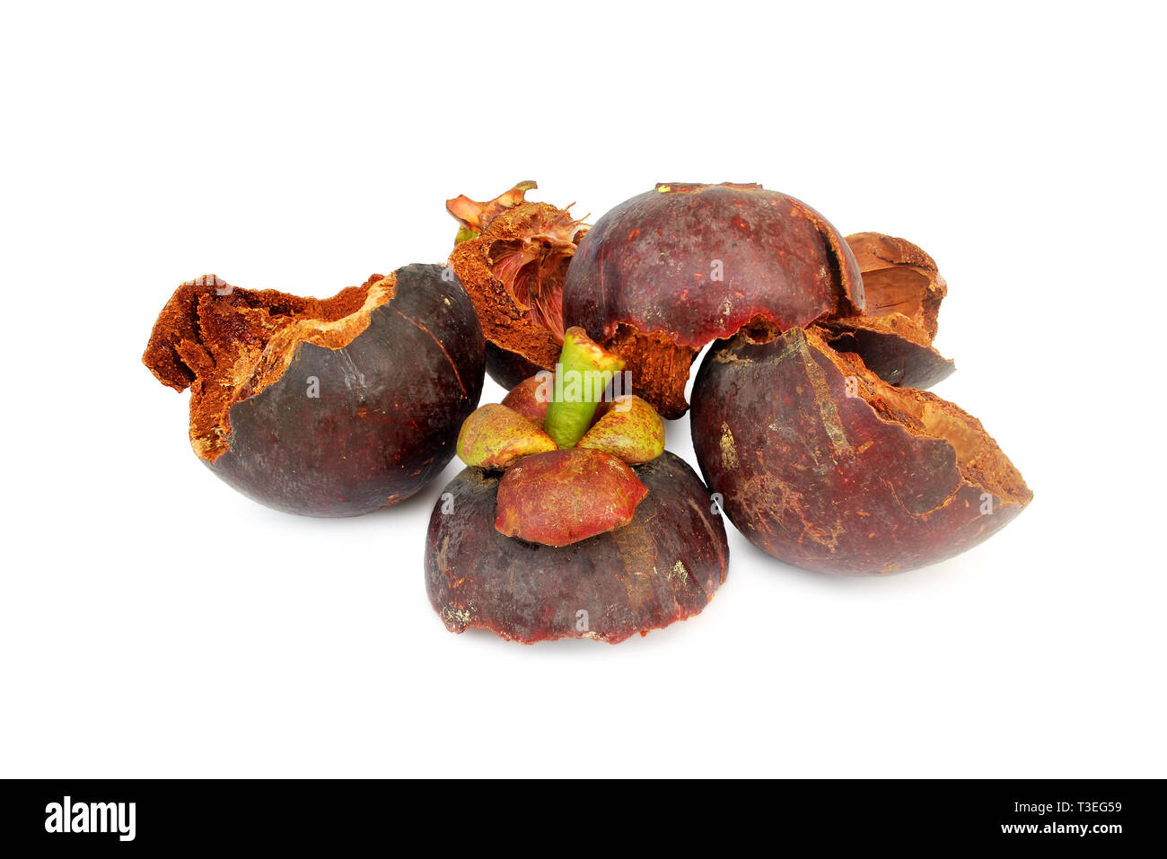 Dried mangosteen on White Blackground.Properties of mangosteen. Help