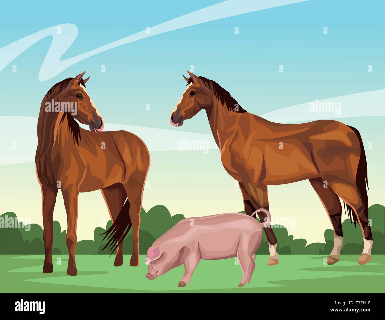 Horse And Pig Stock Vector Image Art Alamy