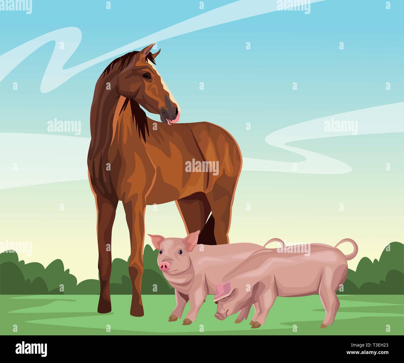 Pig Routing Horses horse and pig Stock Vector Image & Art - Alamy