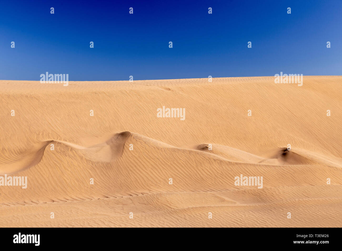 Sand dunes at Maspalomas, Gran Canaria, Canary Islands Stock Photo