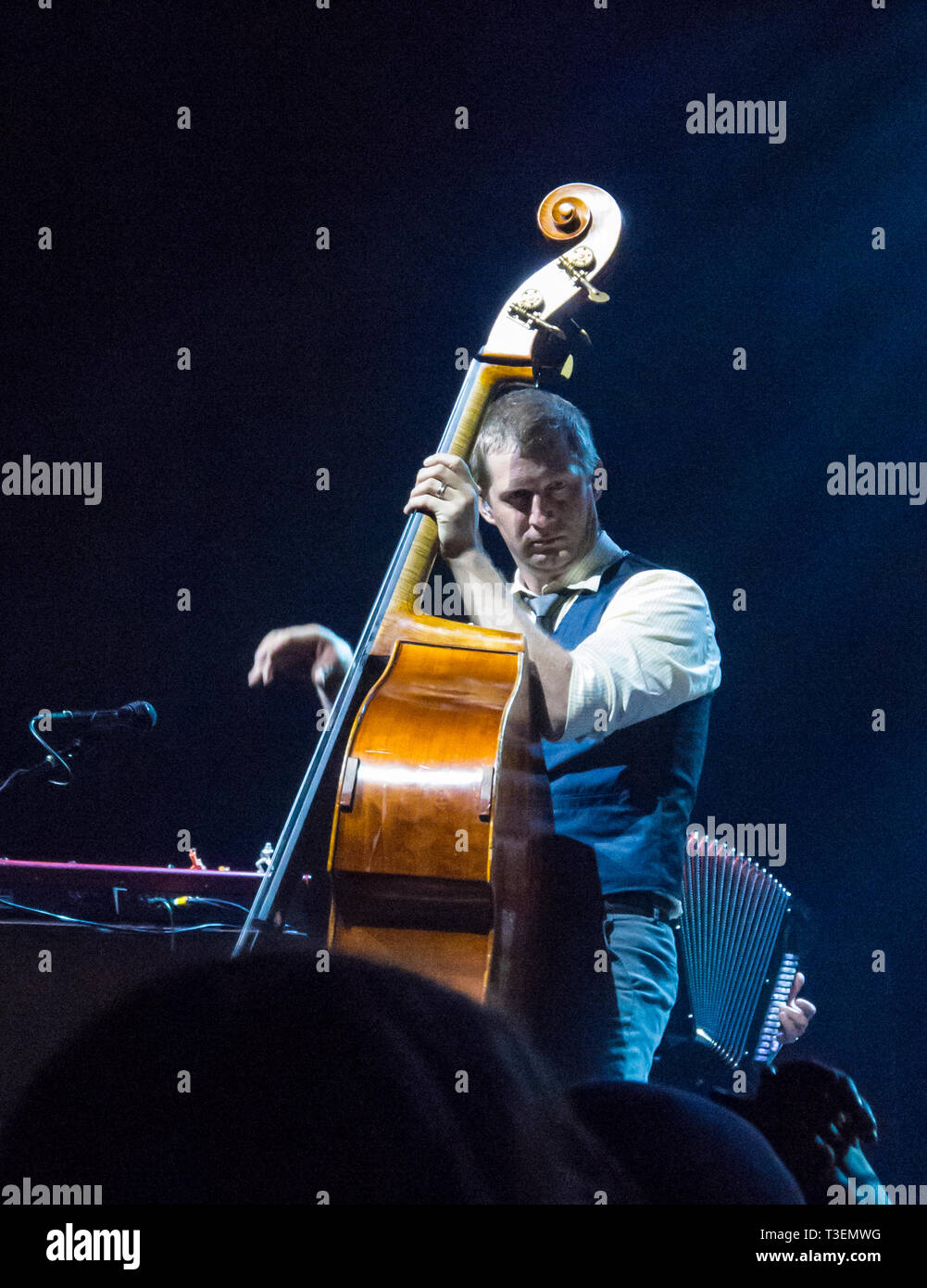 Upright bass hires stock photography and images Alamy