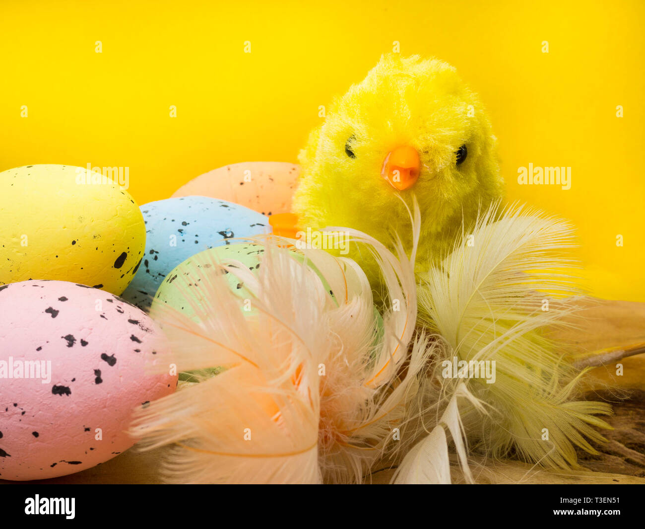 Little chick with easter eggs on yellow background Stock Photo