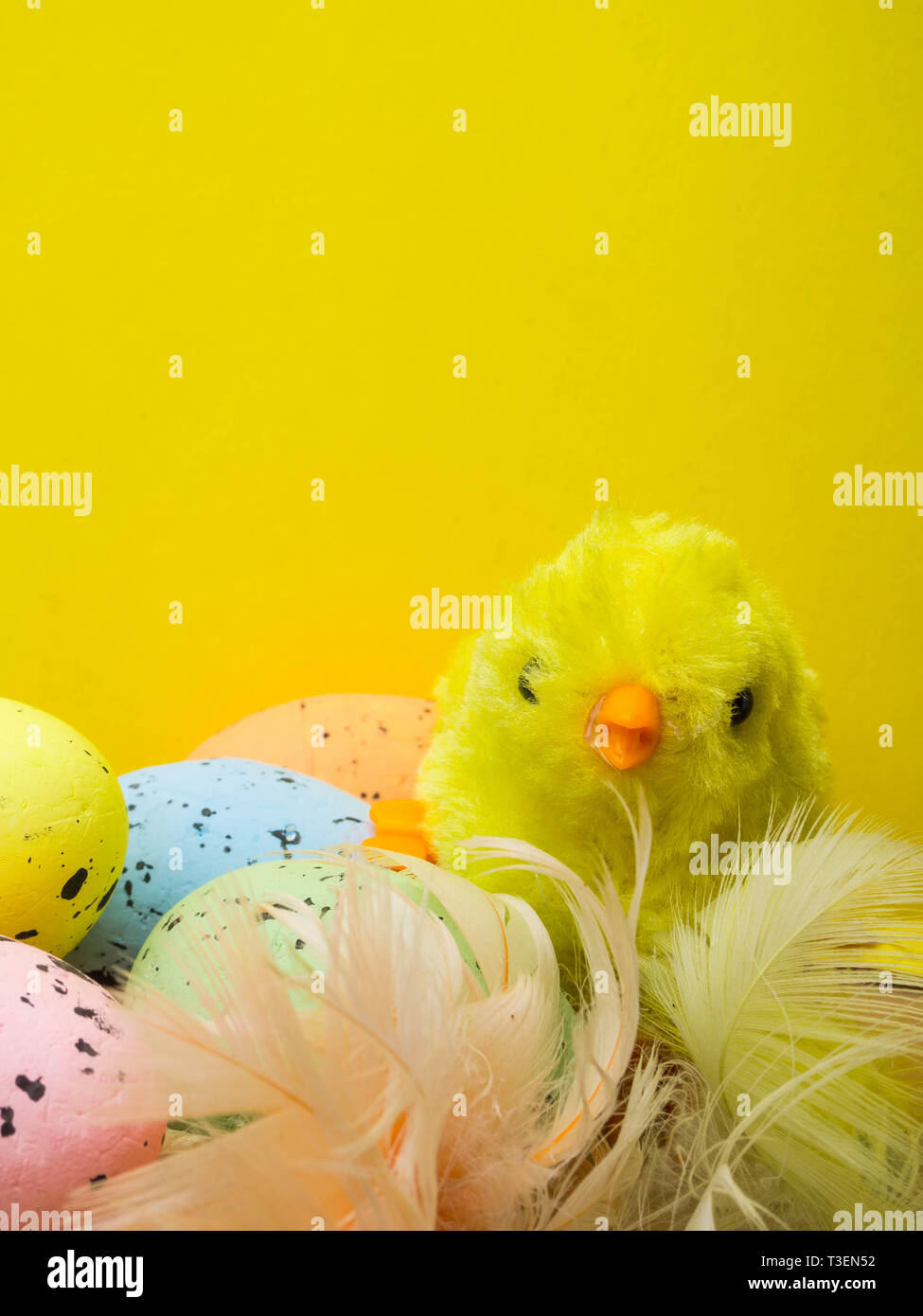 Little chick with easter eggs on yellow background Stock Photo