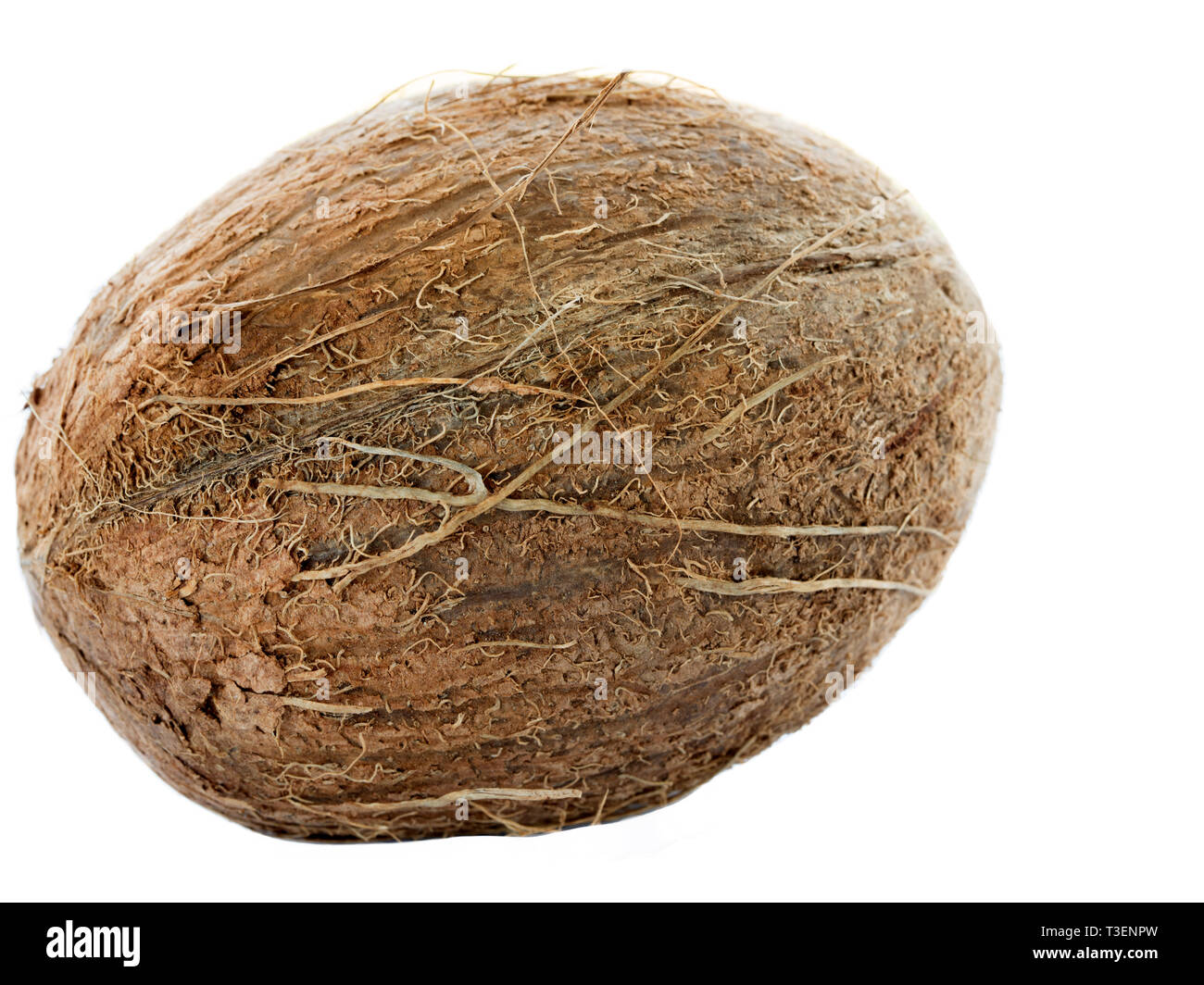 tropical coconut fruit isolated on white background closeup Stock Photo