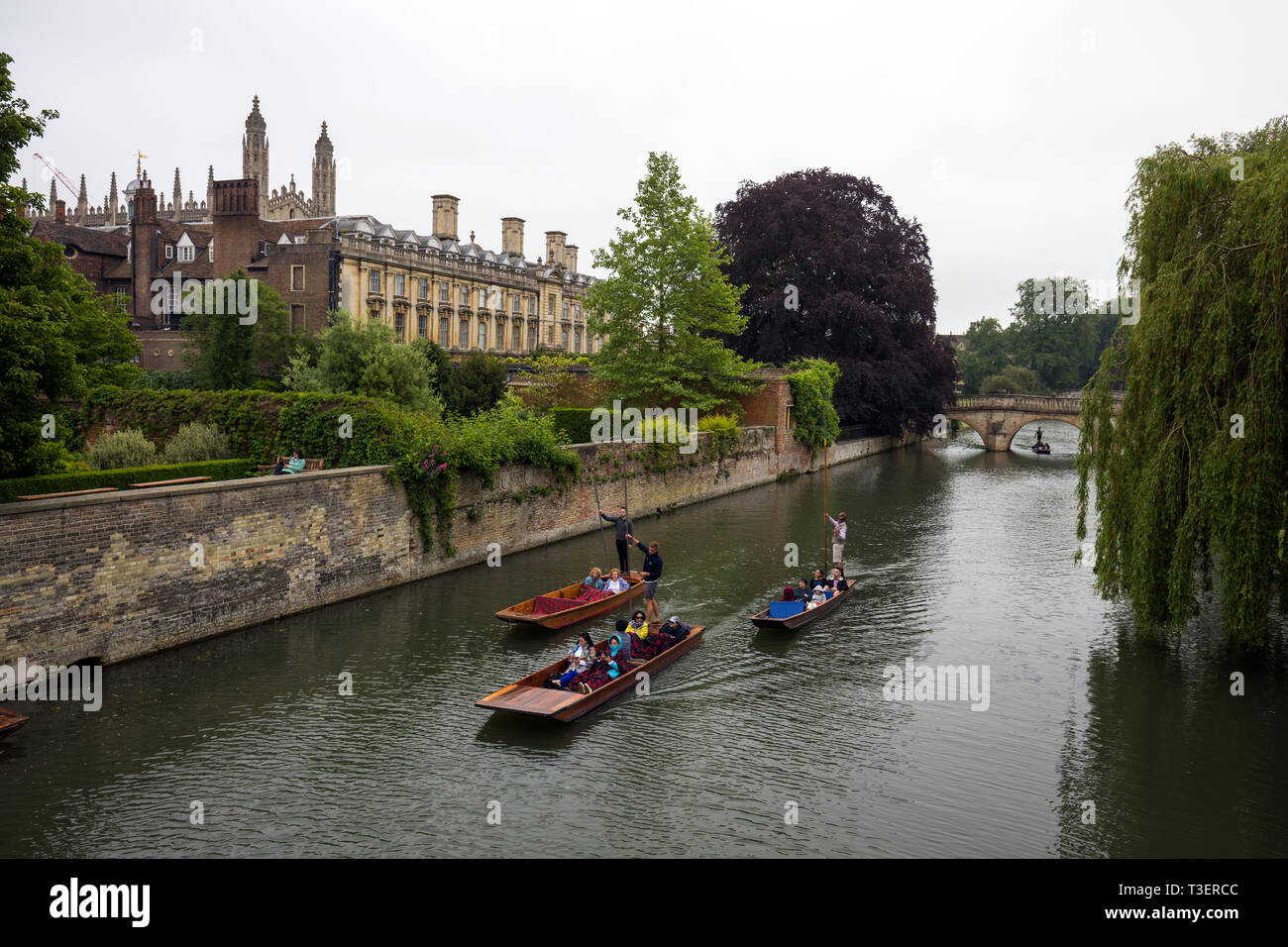 Punting; River Cam; Cambridge; UK Stock Photo