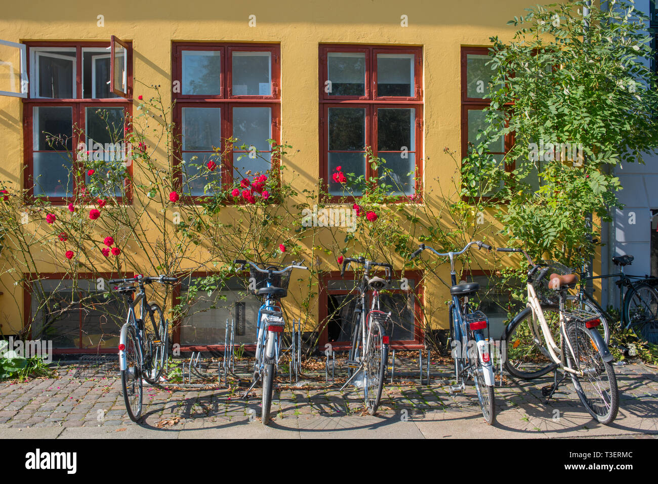 A line of bicycles parked outside a typically colourful building in Copenhagen. Stock Photo