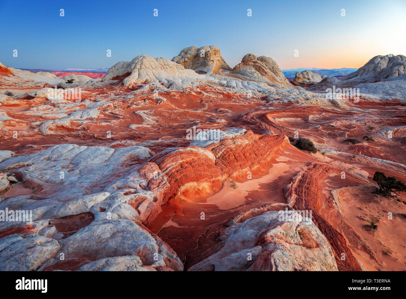 Pocket Park High Resolution Stock Photography and Images - Alamy