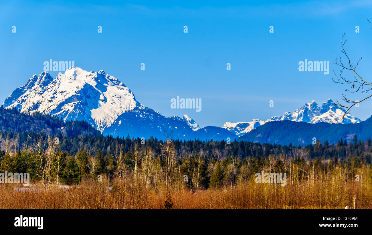 Mount Robie Reid on the left and Mount Judge Howay on the right, viewed from Sylvester Road over the Blueberry Fields near Mission, BC, Canada Stock Photo