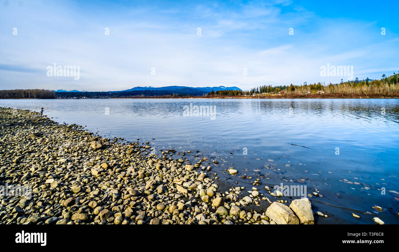 A beautiful day at the Fraser River on the shores of Glen Valley Regional Park near Fort Langley, British Columbia, Canada Stock Photo