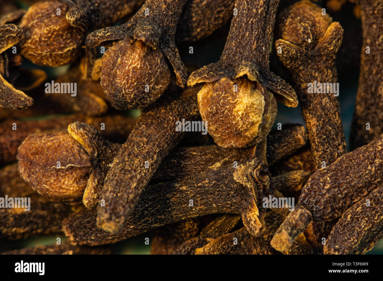 cloves spice close up, healthy healing herbs Stock Photo Alamy