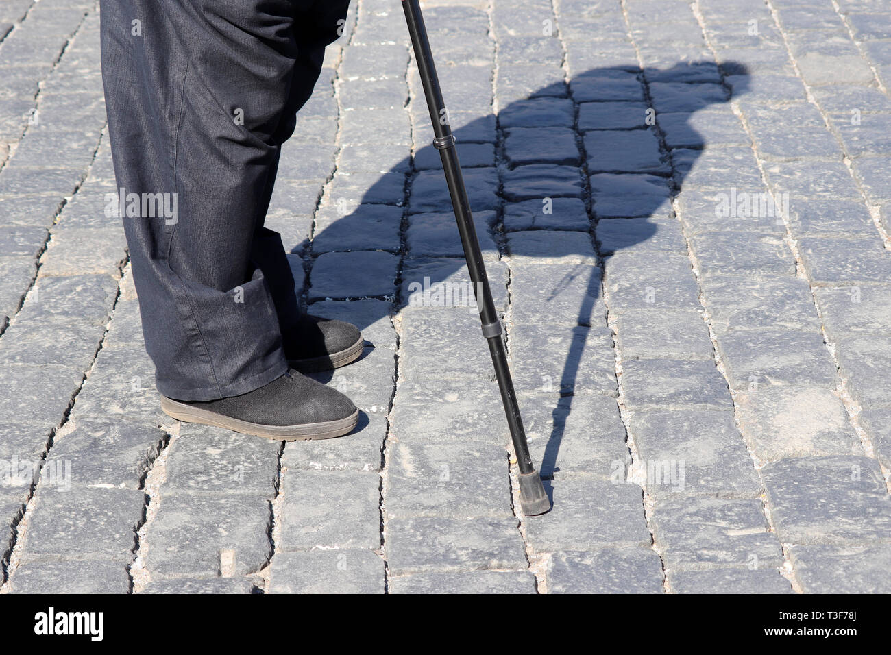 Old man standing on a street with walking cane, shadow on pavement. Concept for disability, old age, overweight, limping person, diseases of the legs Stock Photo