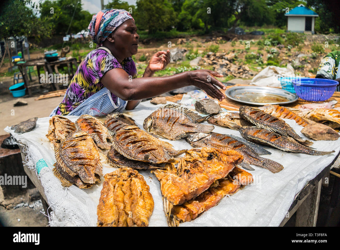 who sells fried fish near me who sells fried fish near me