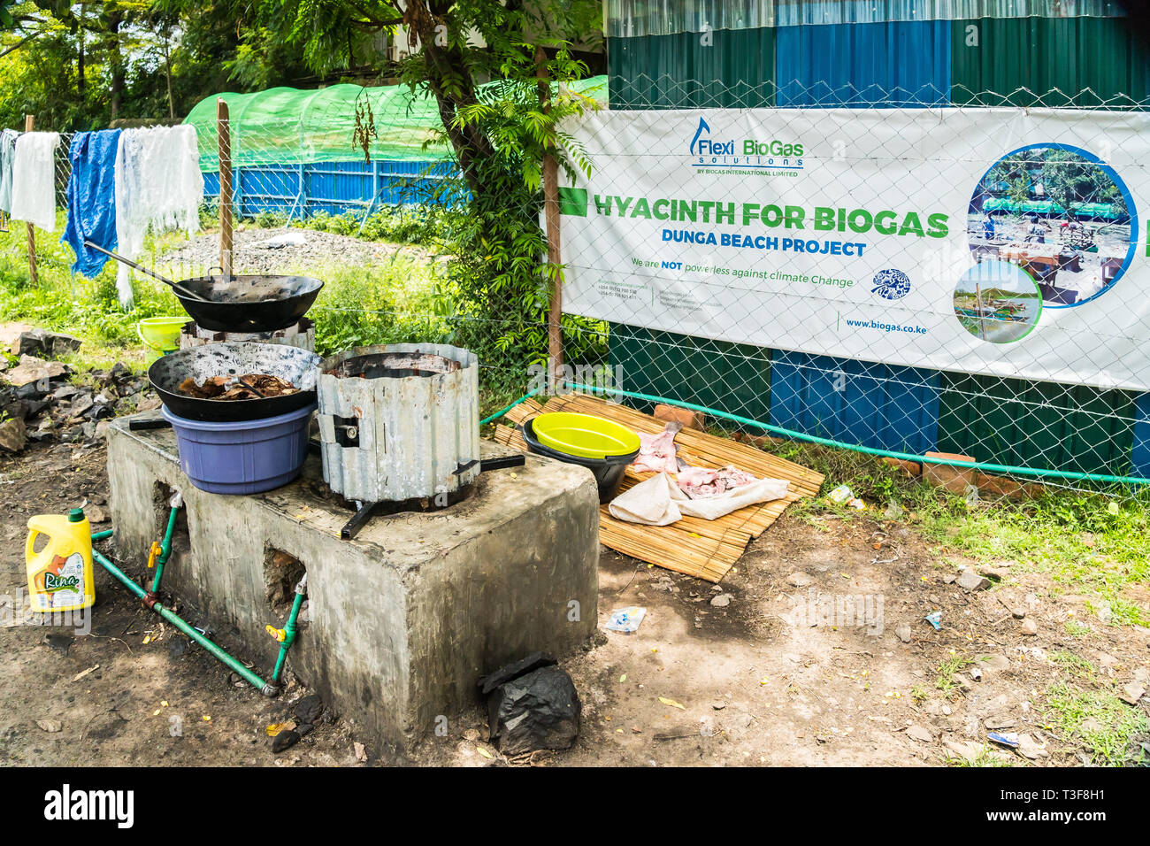 Kisumu,Kenya-March 8,2019 - biogas from hyacinth: the plant was brought over to Africa and spread prolifically, affecting transportation and fishing Stock Photo