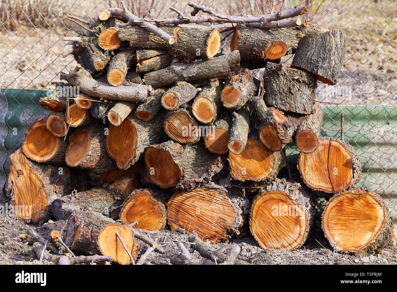 Stacks of firewood outdoors. Pile of cut fruit tree logs. Firewood