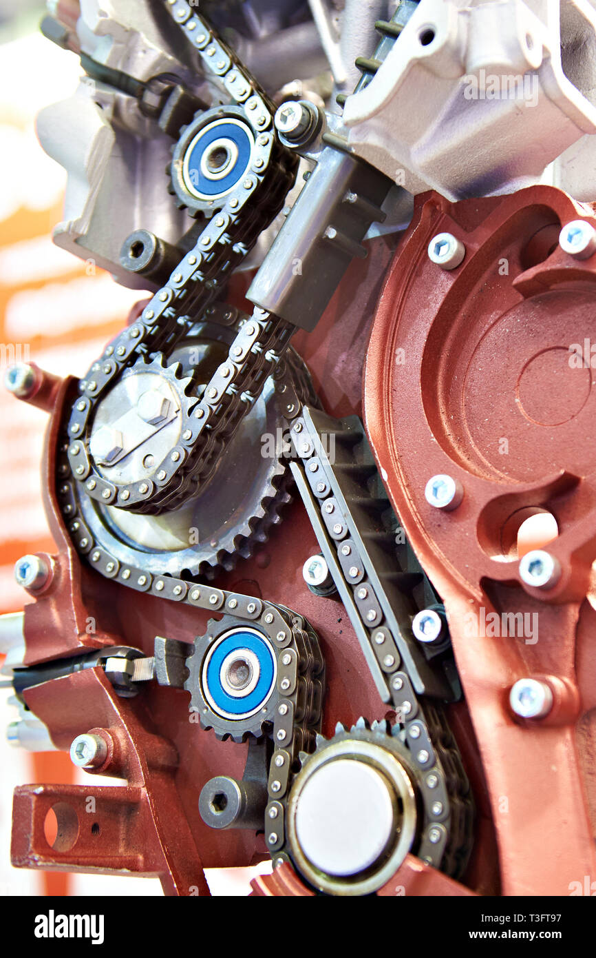 Chain drive and gear in the mechanism Stock Photo