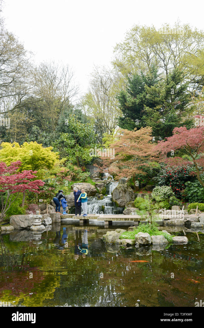 The Kyoto Japanese Garden in Holland Park, Holland Park Avenue, Kensington, London, W11, England, U.K. Stock Photo