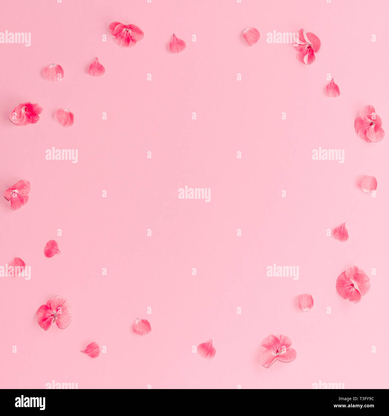 Pink Flowers: Thưởng thức hình ảnh những loài hoa màu hồng tươi tắn, tràn đầy sức sống. Sắc hồng làm tôn lên vẻ đẹp của loài hoa và cảm giác tươi mới cho người xem.