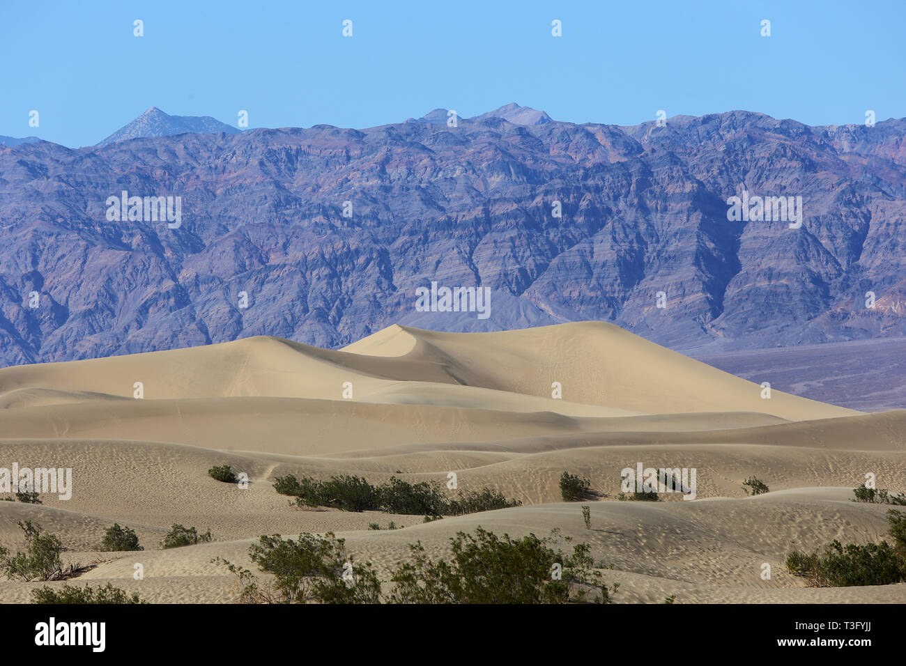death valley national park, California, usa Stock Photo - Alamy