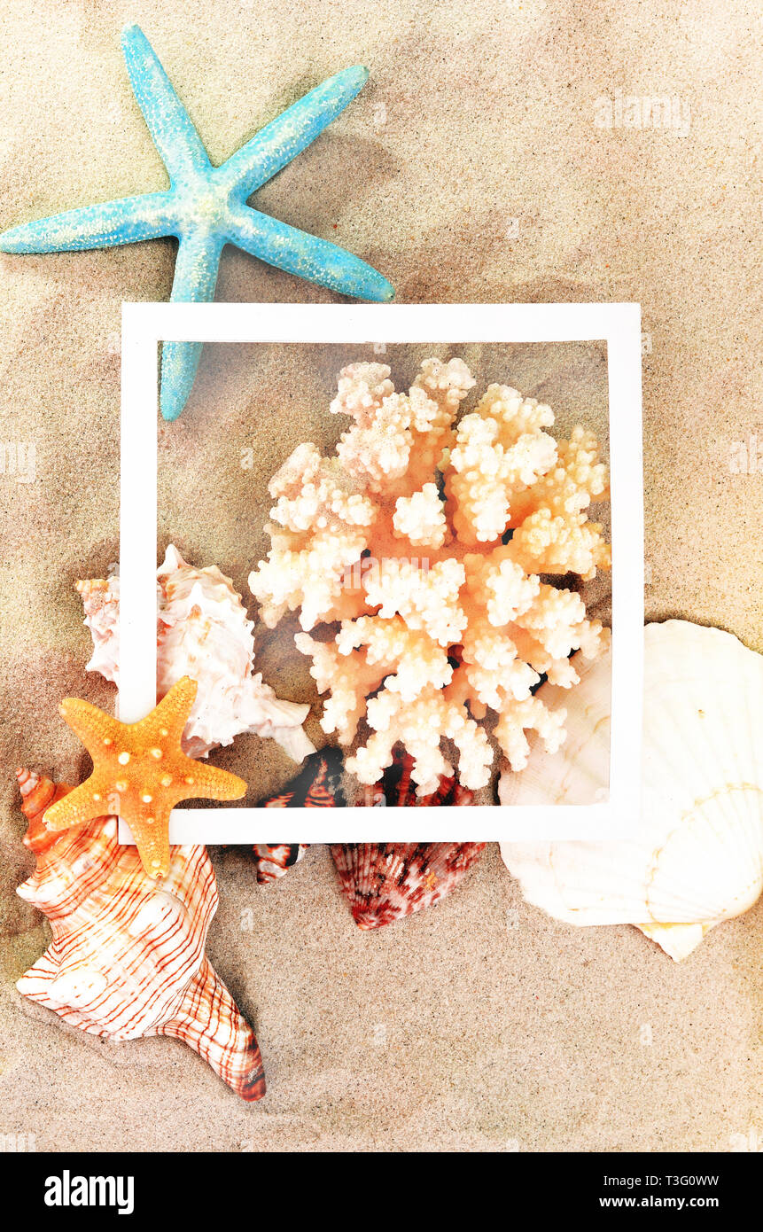 Top view of Beach sand with shells, coral and starfish with frame. Summer background concept Stock Photo