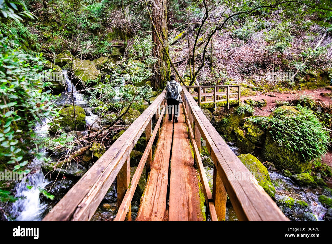 Wooden bridge on Cataract trail in Mt Tamalpais Watershed, Marin County, north San Francisco bay area, California Stock Photo