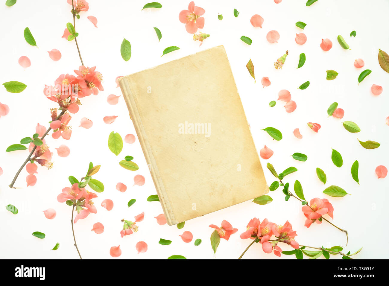 Old book mock up with springtime floral decoration, top view flat lay copy space Stock Photo
