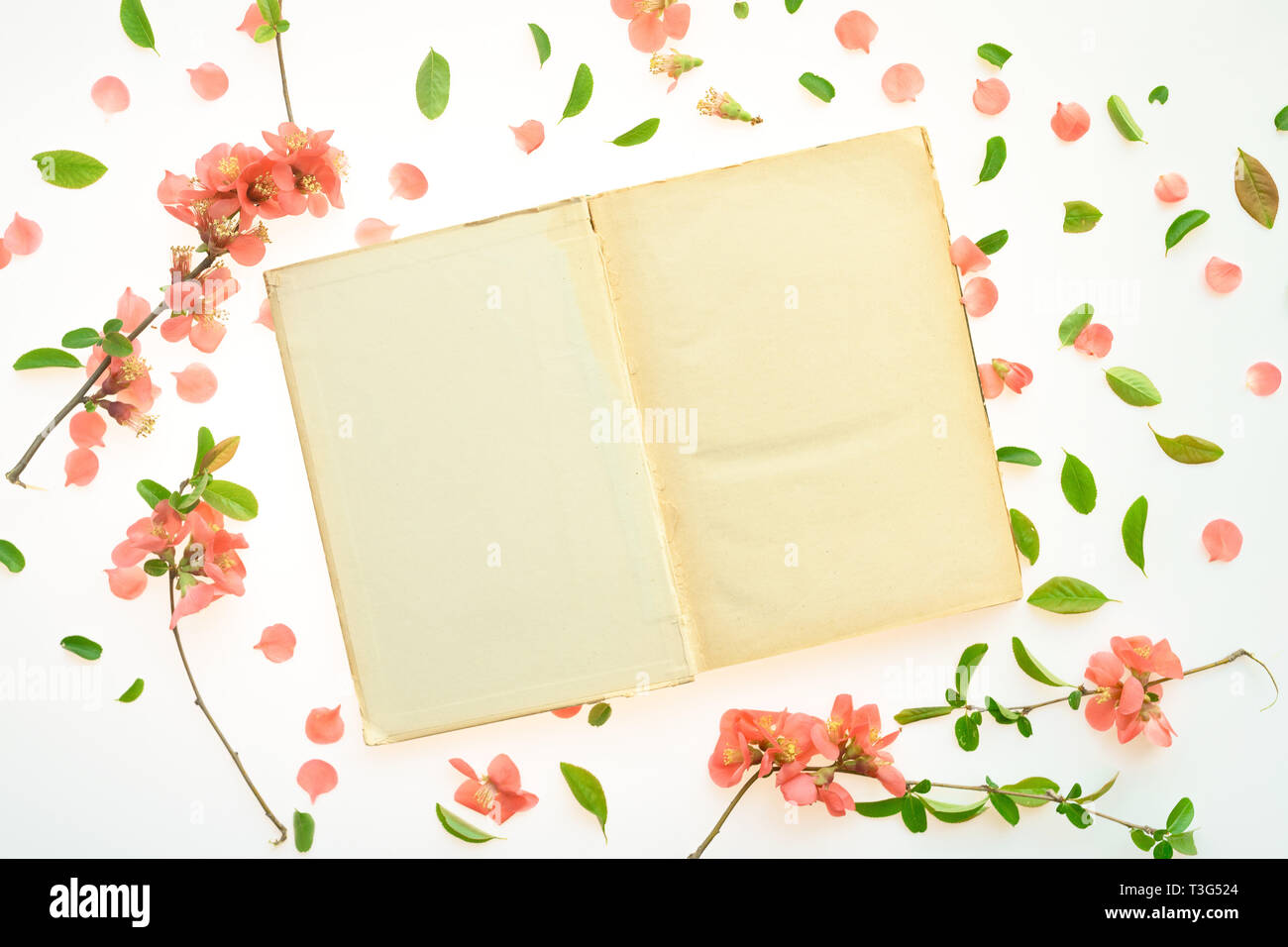 Old book mock up with springtime floral decoration, top view flat lay copy space Stock Photo