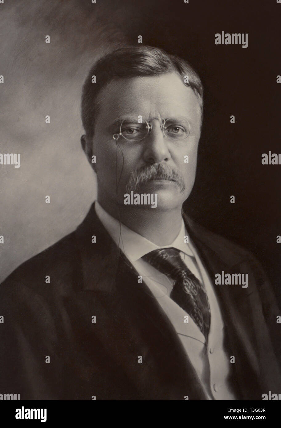 U.S. President Theodore Roosevelt, Head and Shoulders Portrait, by ...