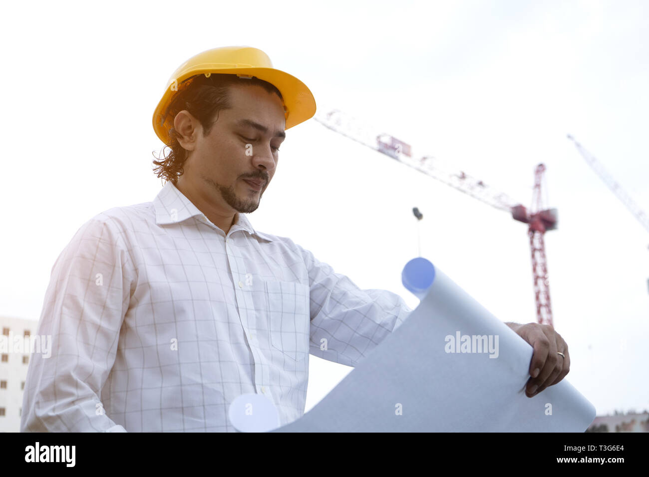 Arabic young architect engineer at working place Stock Photo Alamy