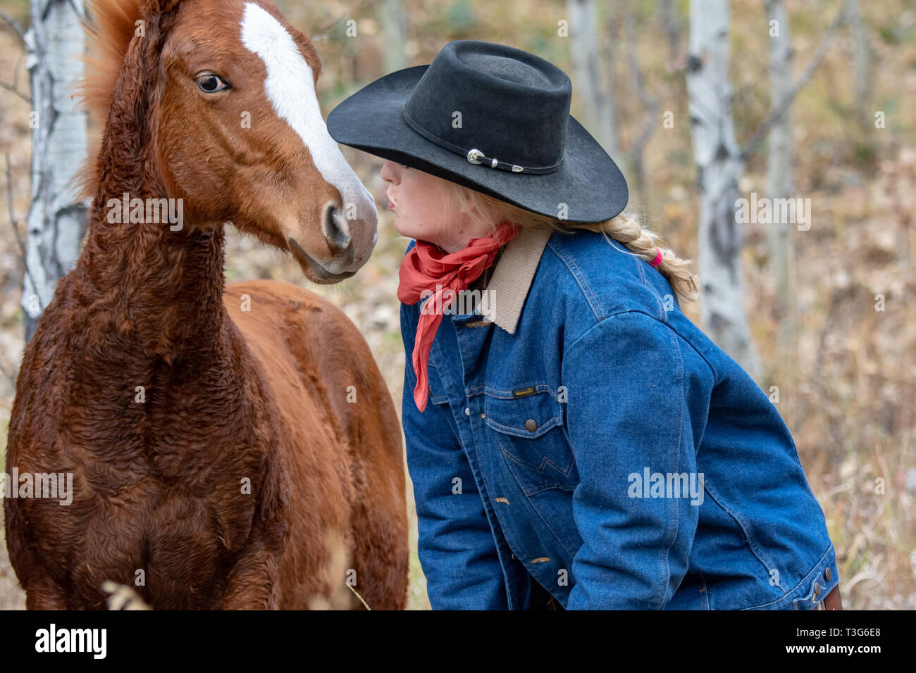 Cowgirl kiss with young colt Stock Photo - Alamy
