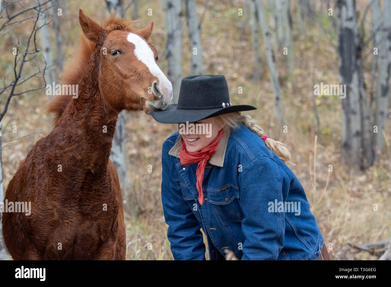 Cowgirl kiss with young colt Stock Photo - Alamy