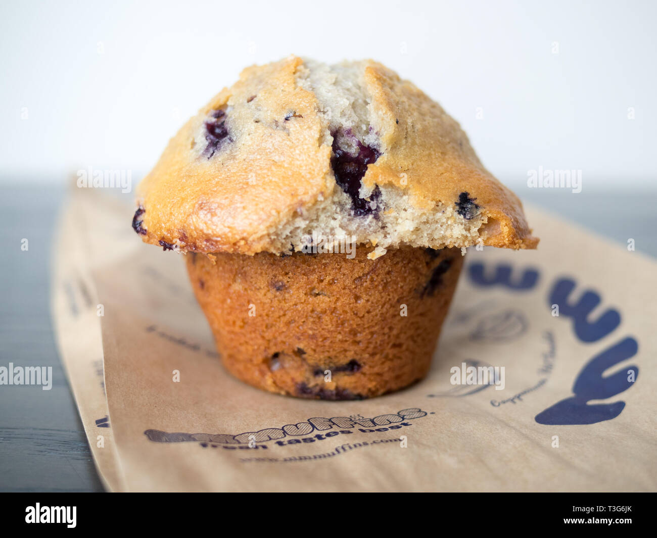 A blueberry muffin from Mmmuffins (also known as Marvellous Mmmuffins), a once popular Canadian restaurant chain specializing in muffins and coffee. Stock Photo