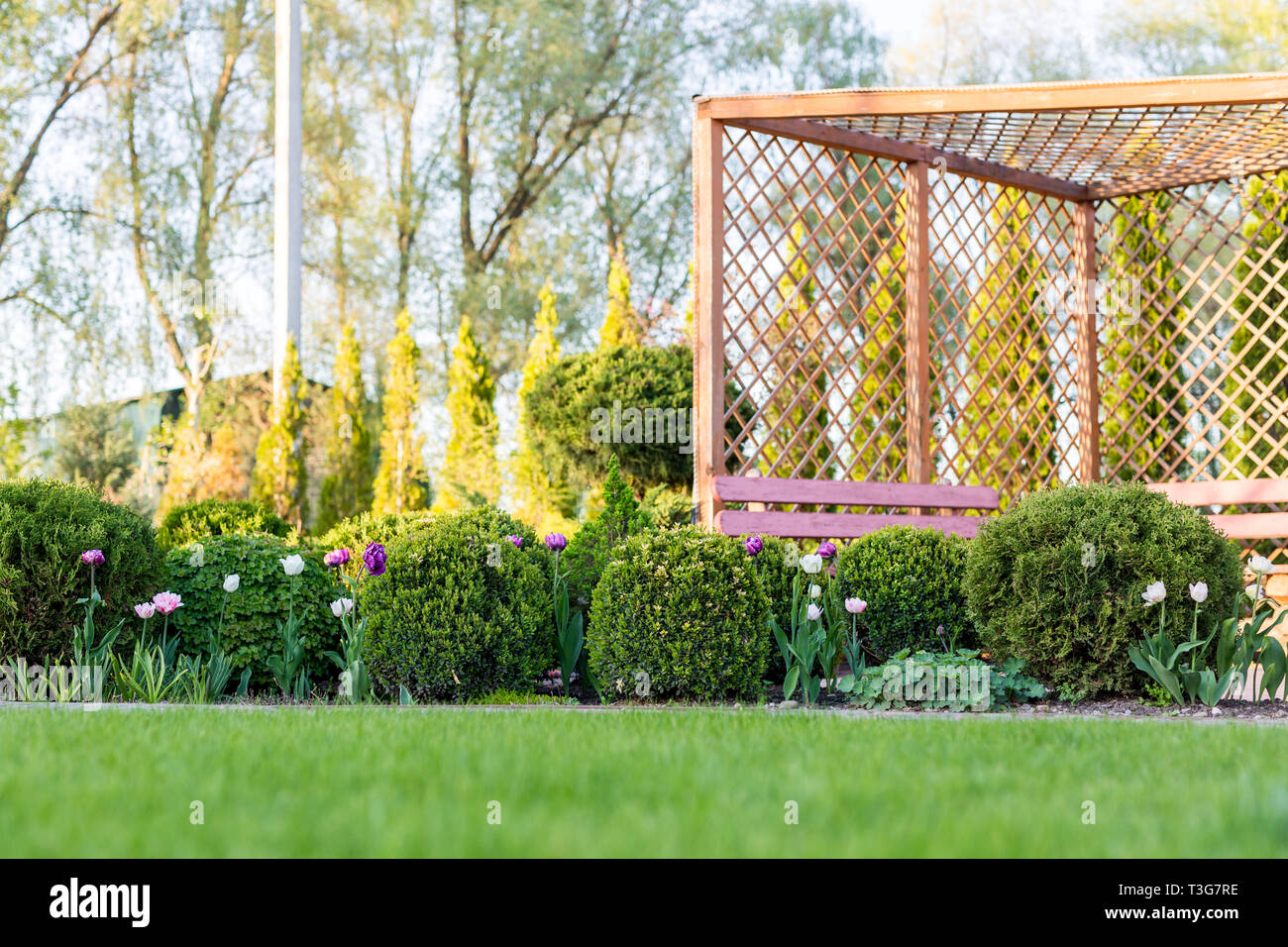 Boxwood Wood High Resolution Stock Photography and Images - Alamy