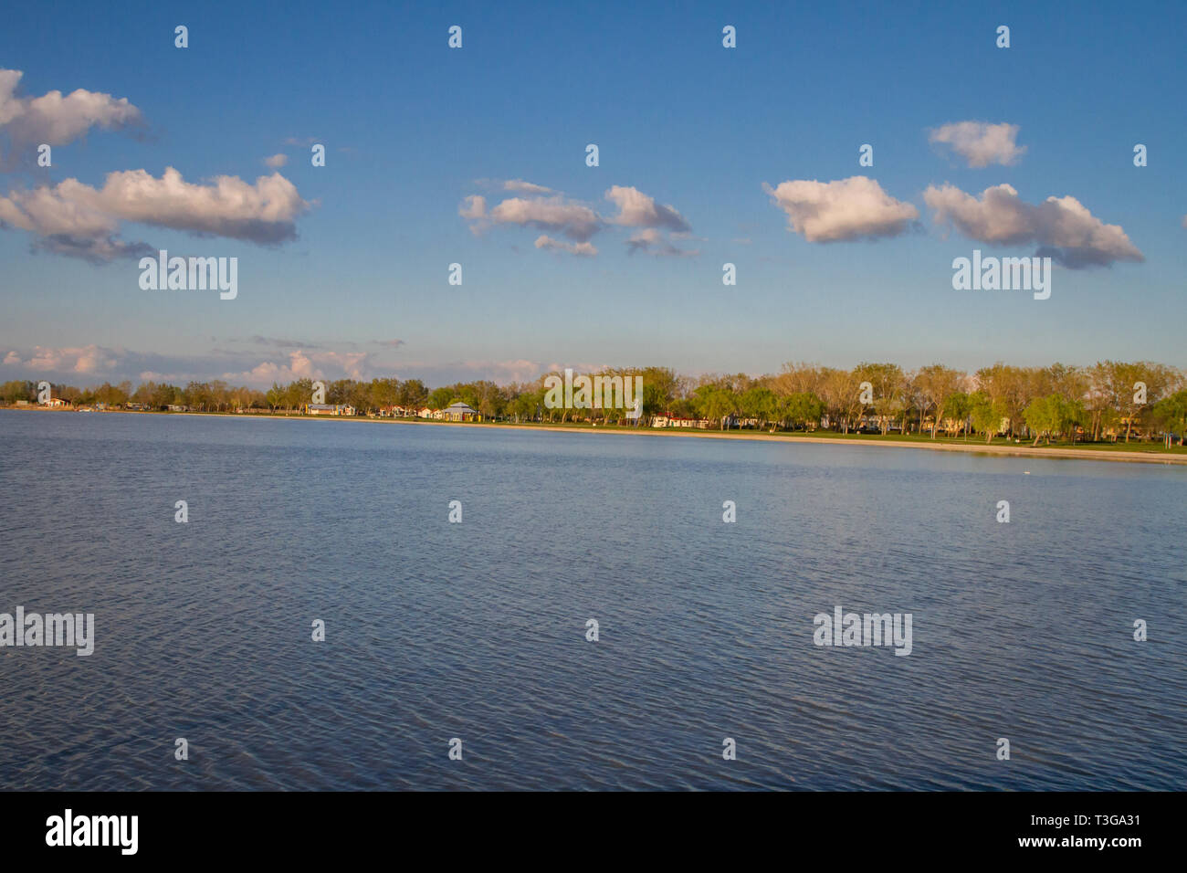 Strand (beach) Podersdorf, Neusiedler See, Burgenland, Austria Stock