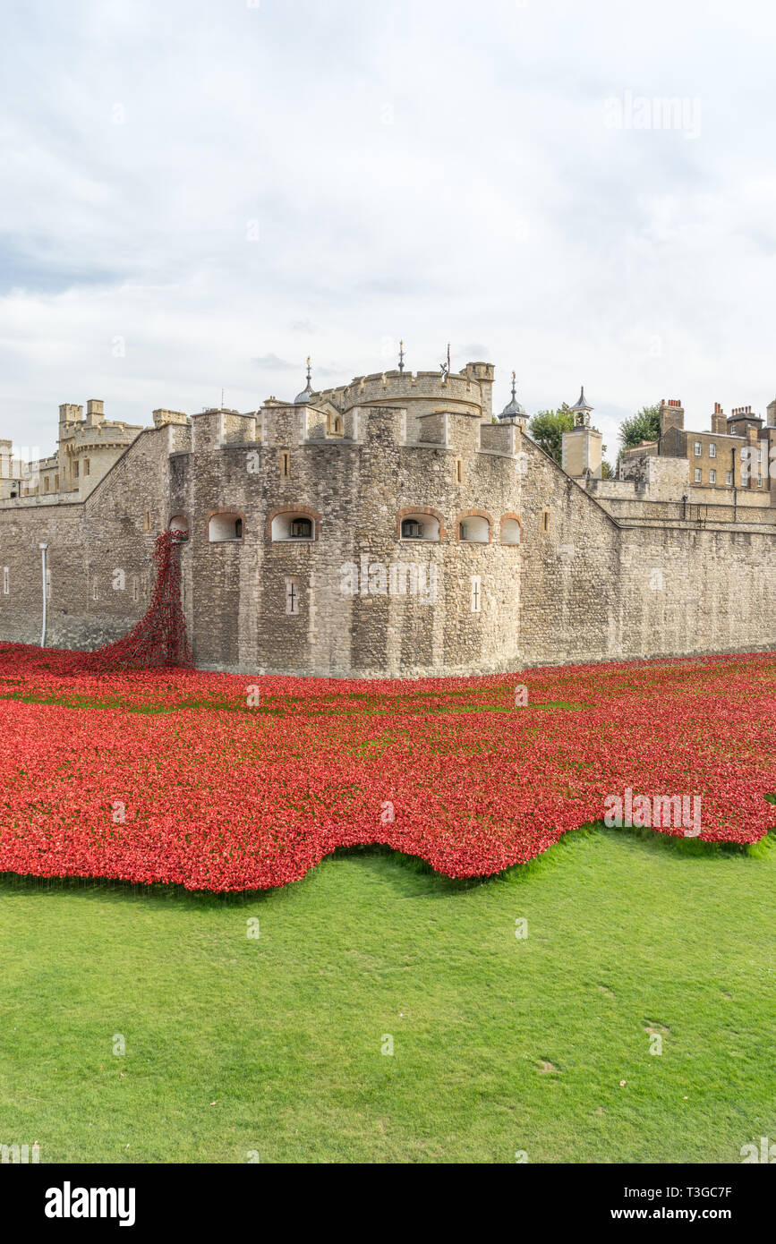 Tower of London Poppy display, Created by artists Paul Cummins and Tom Piper, 888,246 ceramic