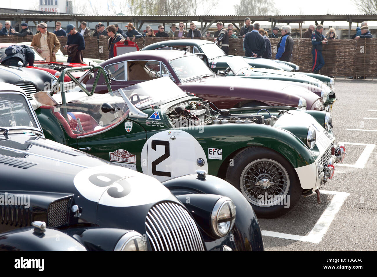 Goodwood 77th Members meeting Tony Glaze Trophy, Triumph TR3S driven by Chris Ryan , Stock Photo