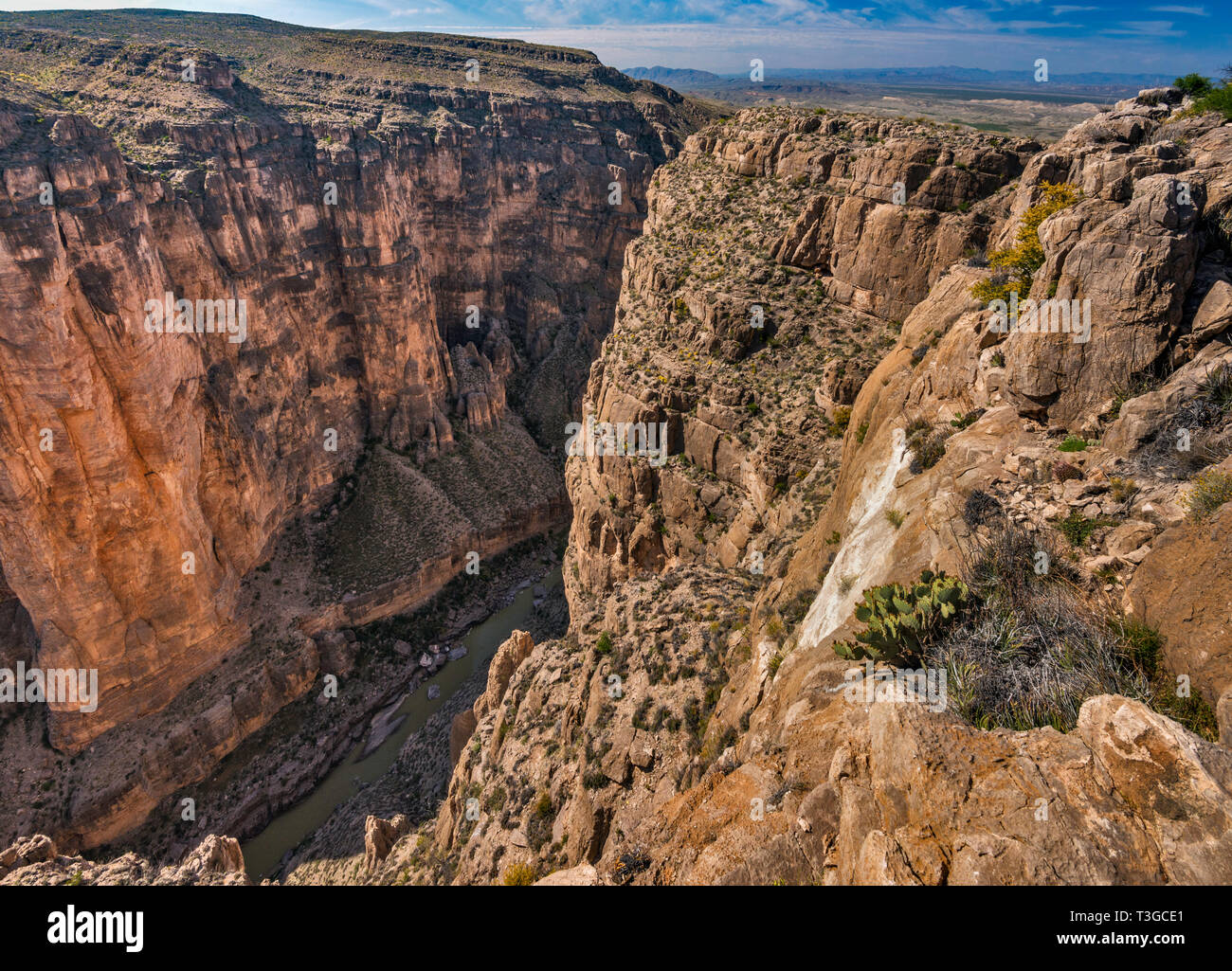 Mariscal Canyon, Rio Grande, Tight Squeeze Rapids area, view from Rim Trail, Big Bend National Park, Texas, USA Stock Photo