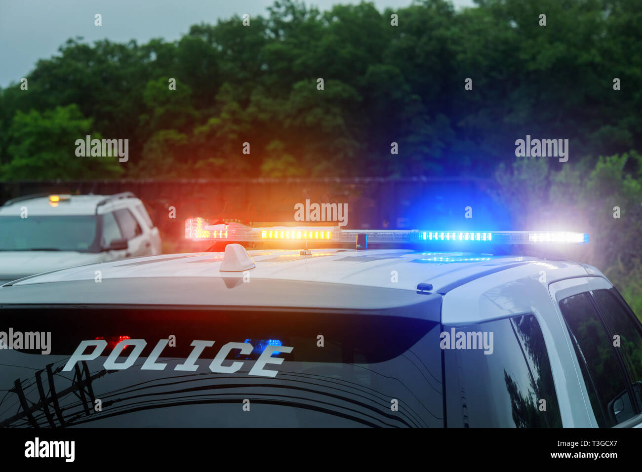 Red and blue flashing lights on police car on patrol Stock Photo Alamy