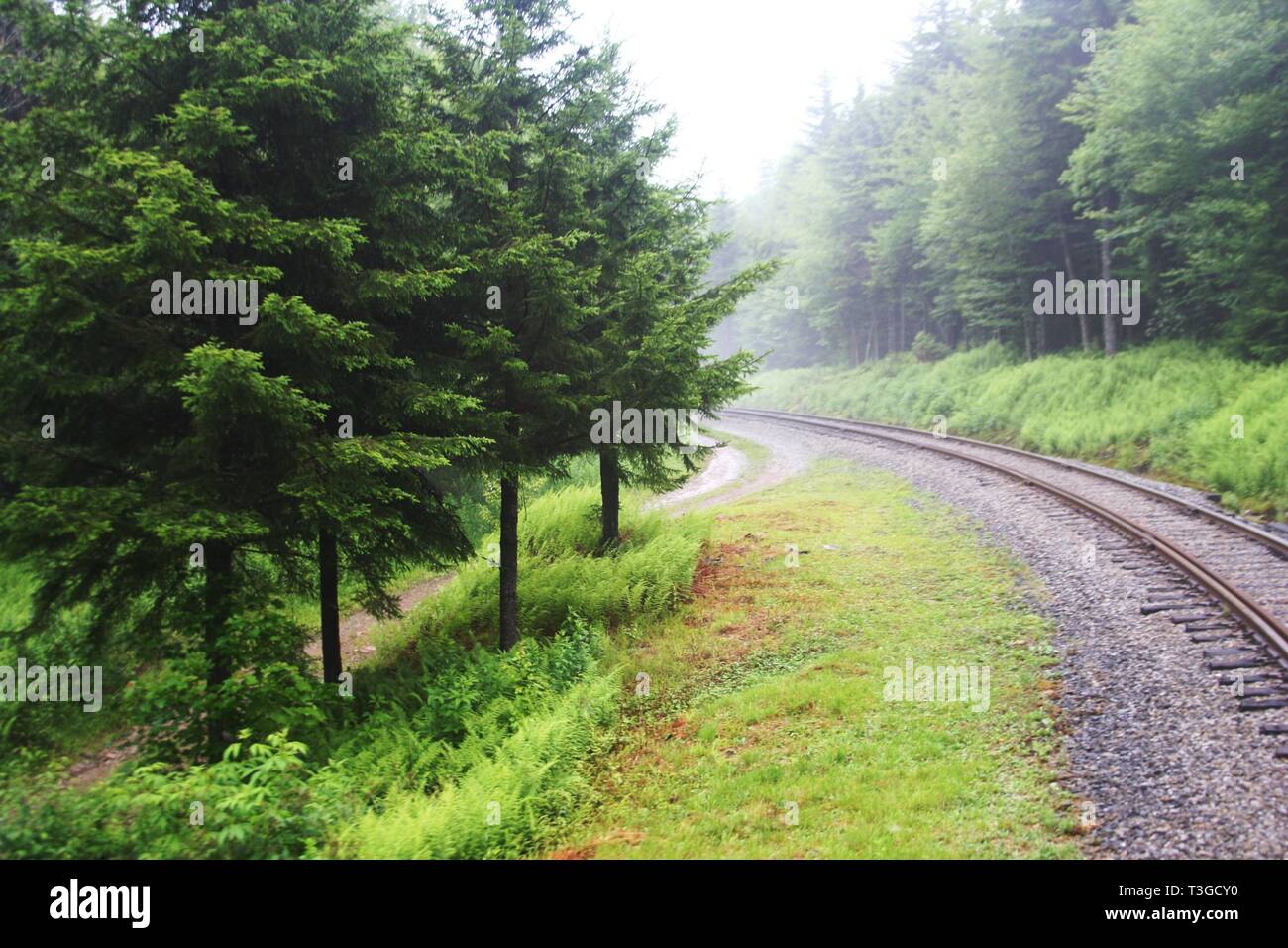 Switchback railway hires stock photography and images Alamy