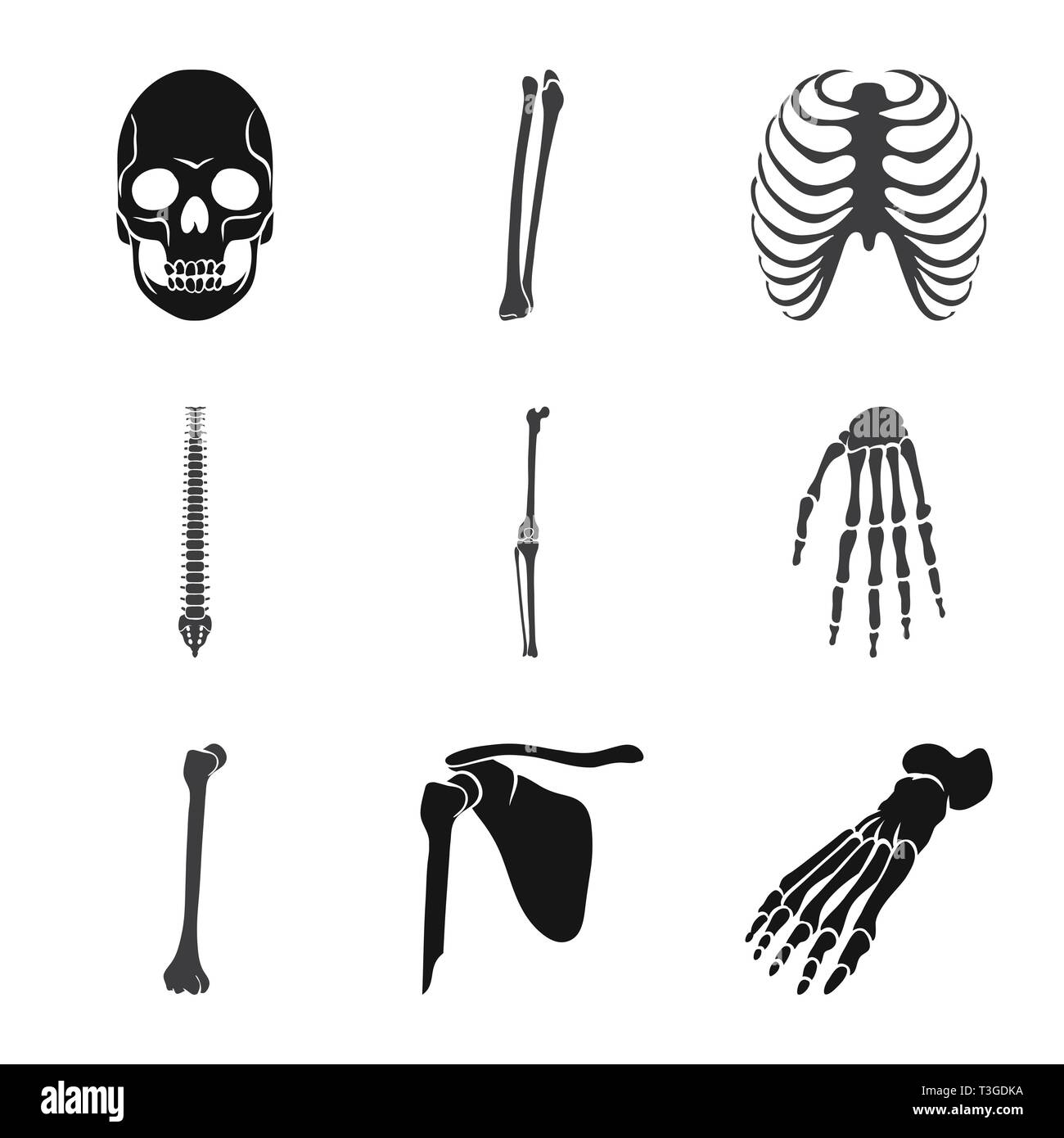 skull,femur,rib,knee,wrist,foot,death,cage,spine,joint,hand,broken ...