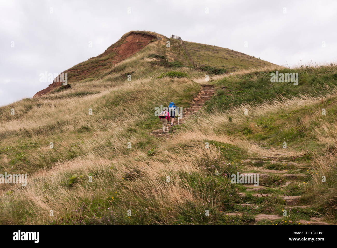 A male and female hikers climbing the steep hills on the Cleveland Way at Skinningrove in North Yorkshire Stock Photo