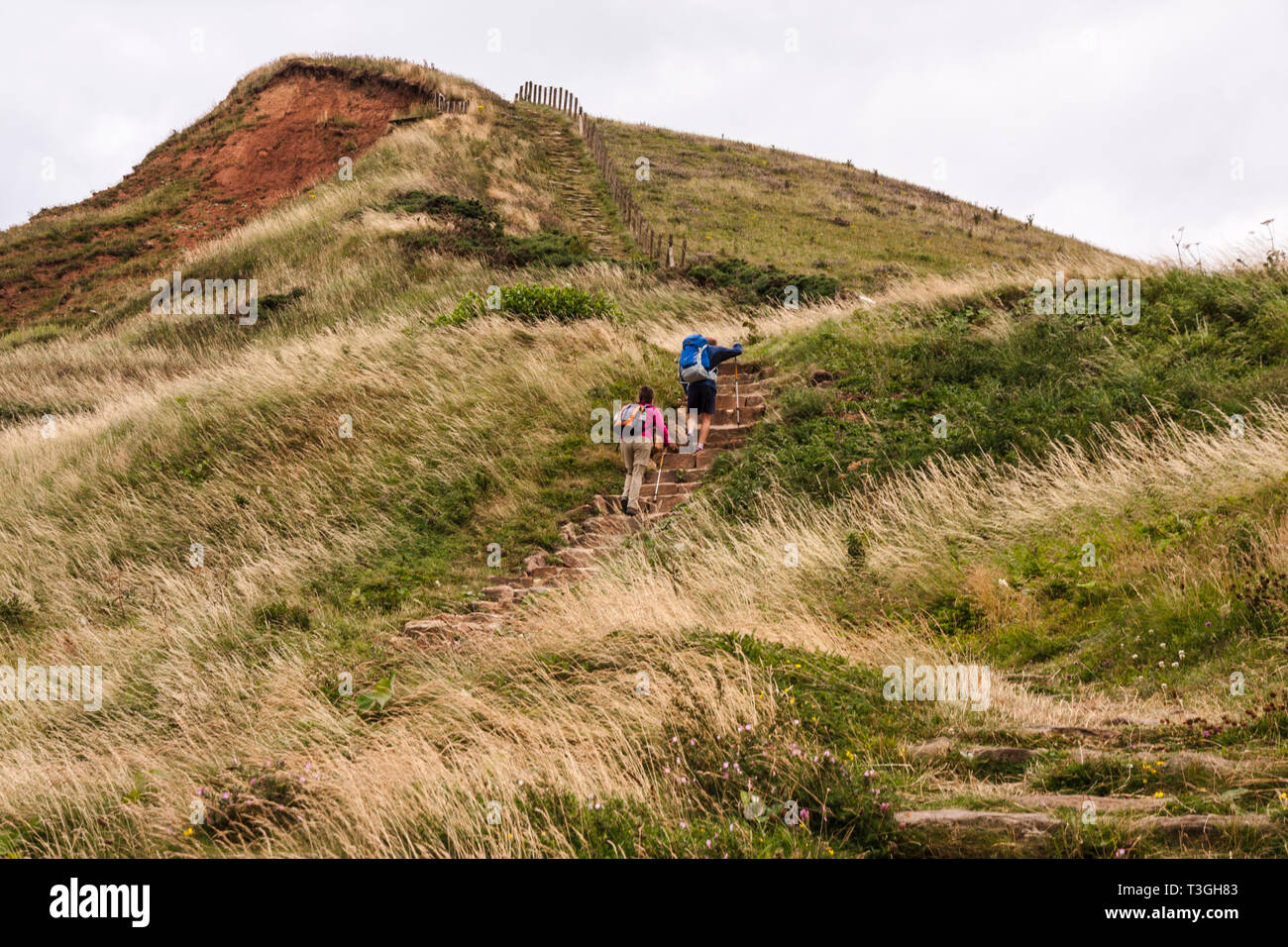 A male and female hikers climbing the steep hills on the Cleveland Way at Skinningrove in North Yorkshire Stock Photo