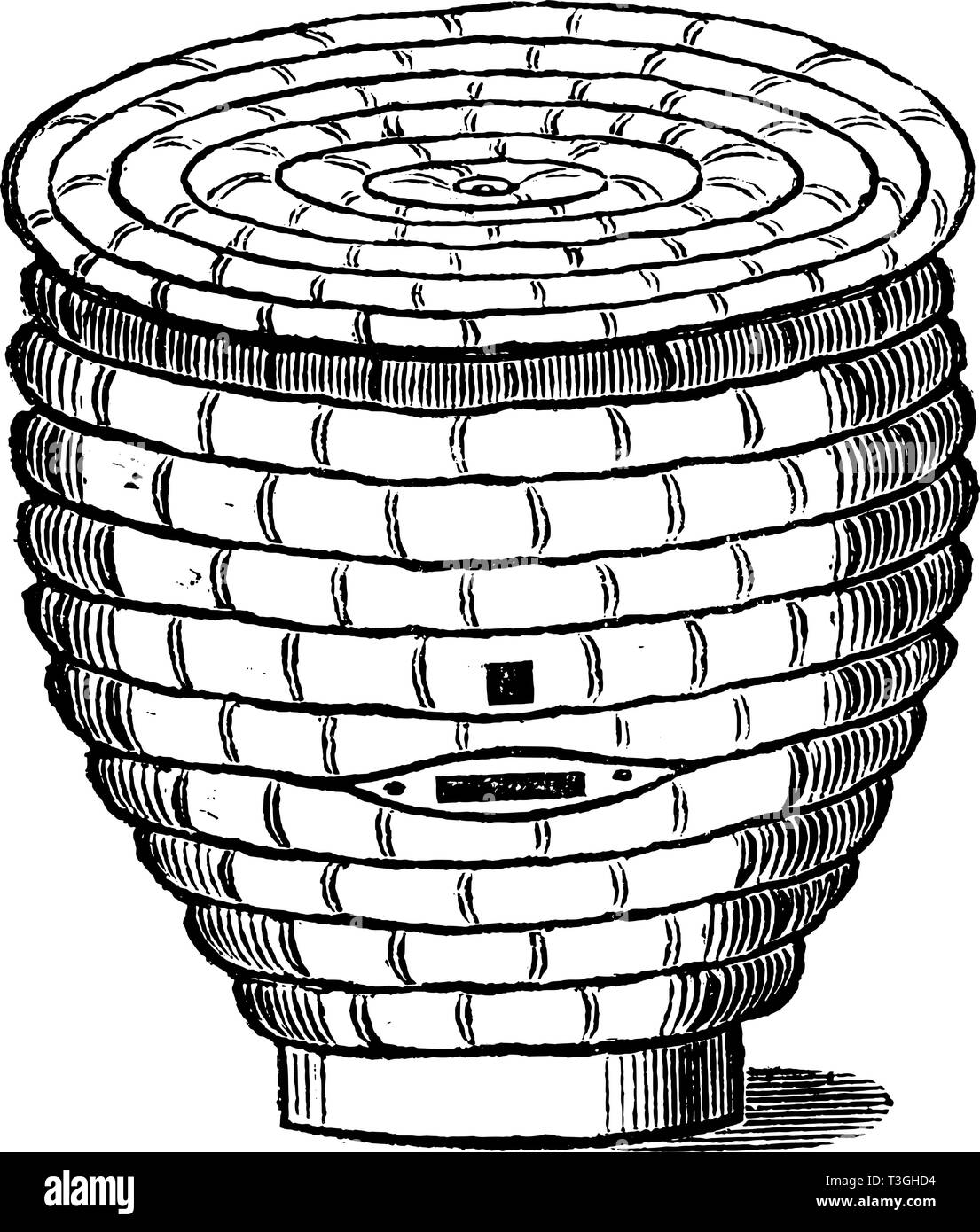 Antique Vector Drawing Or Engraving Of Vintage Classic Straw