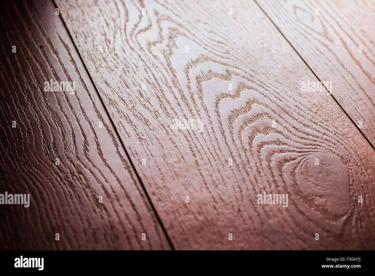 Photo inspiration: Curated Textured Apartment Flooring Installation Gallery View 34