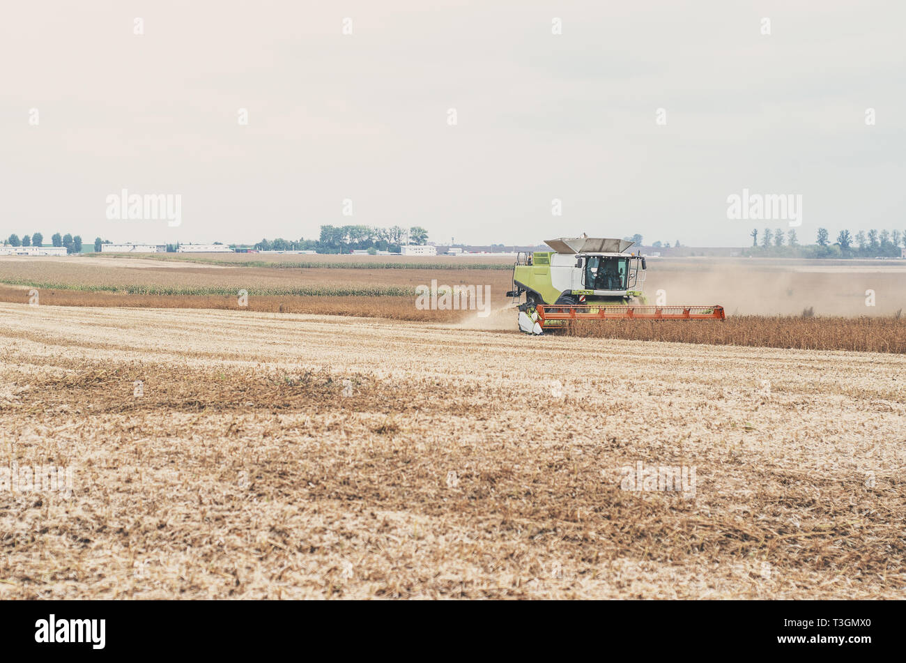 Soybean stubble hi-res stock photography and images - Alamy