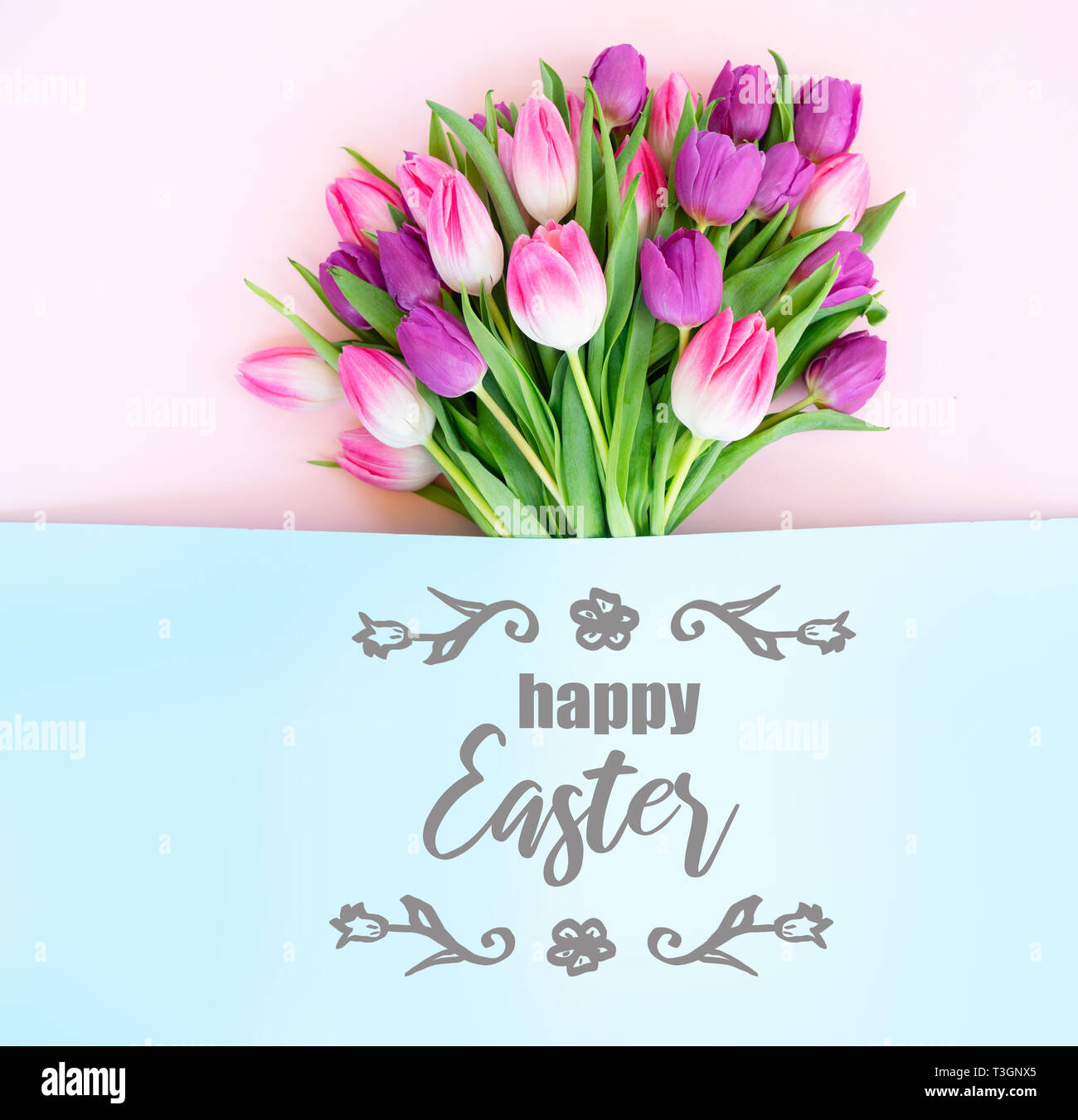 Bouquet of pink and violet tulip flowers on bicolored background, flat lay top view scene with happy Easter greeting Stock Photo