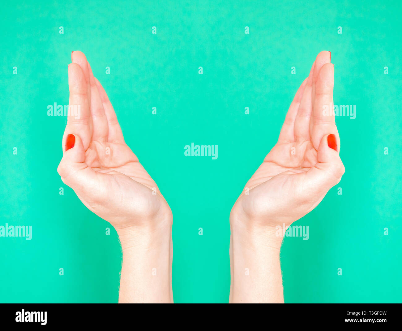 The Raise The Roof Hand Sign. Woman hands holding something invisible on isolated turquoise green color background. Prop up with hands something. Stock Photo